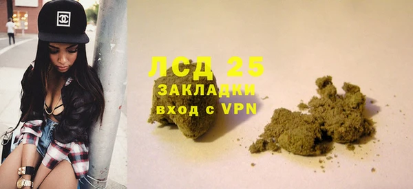 шишки Абинск