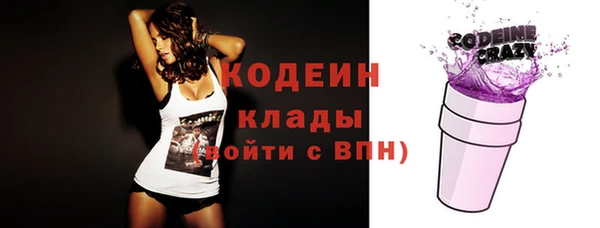 дурь Алексин