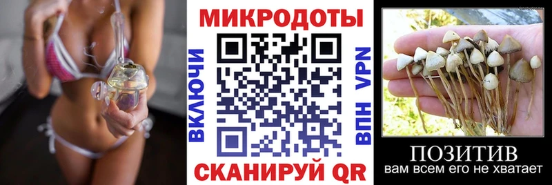 как найти закладки Каменск-Уральский Галлюциногенные грибы Psilocybe