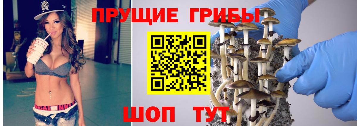 Псилоцибиновые грибы GOLDEN TEACHER Каменск-Уральский