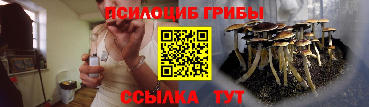 купить закладку  Вход с VPN  Каменск-Уральский  Псилоцибиновые грибы ЛСД 